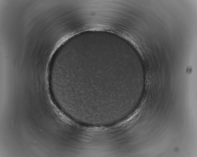 X0000098231122200805151334