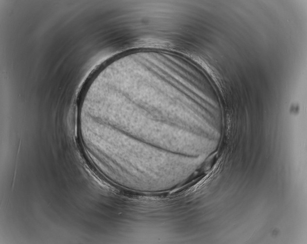 X0000098231123200805151334