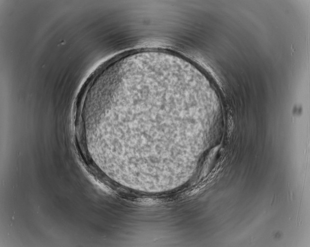 X0000098231124200805151334