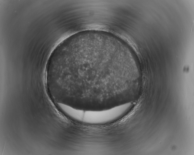 X0000098231125200805151334