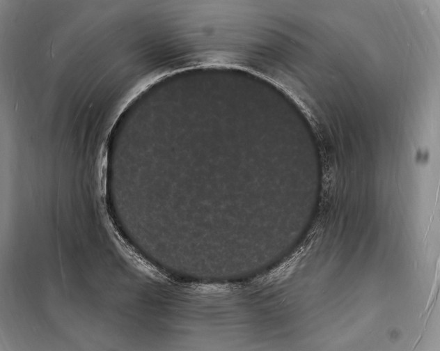 X0000098231126200805151334