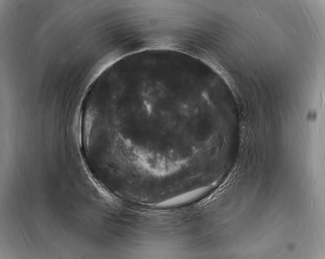 X0000098231127200805151334