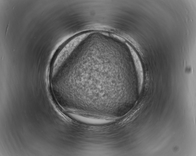 X0000098231128200805151334