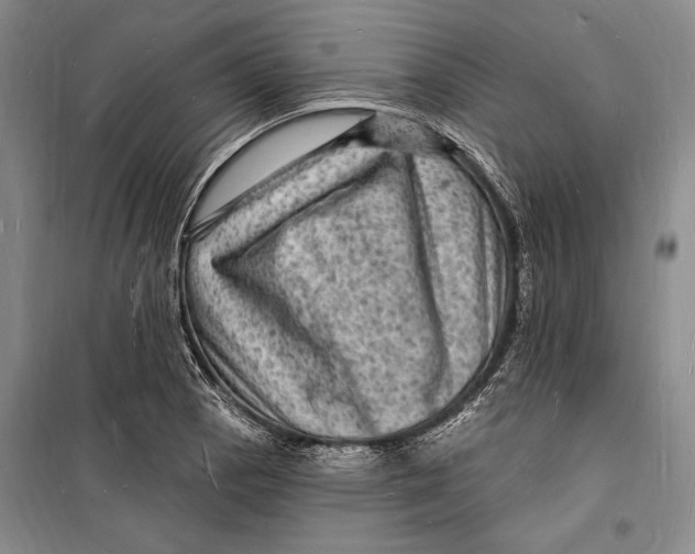 X0000098231129200805151334