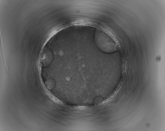 X0000098231130200805151334