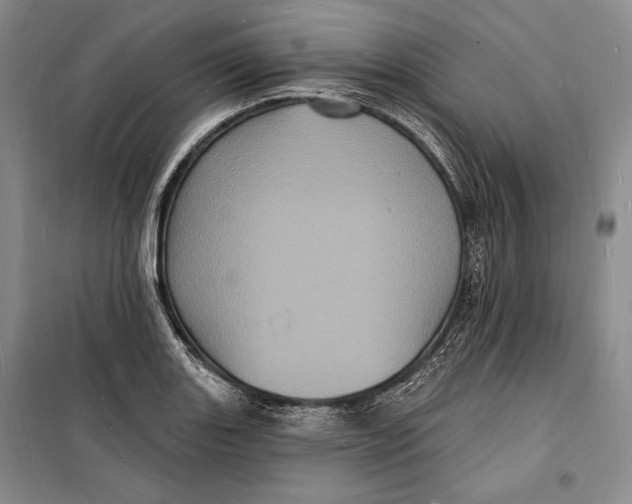 X0000098231131200805151334