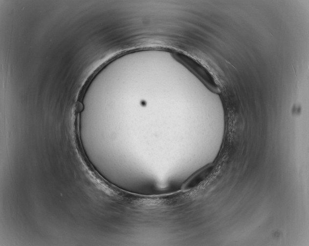 X0000098231134200805151334