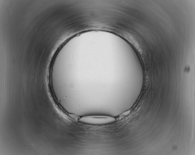 X0000098231136200805151334