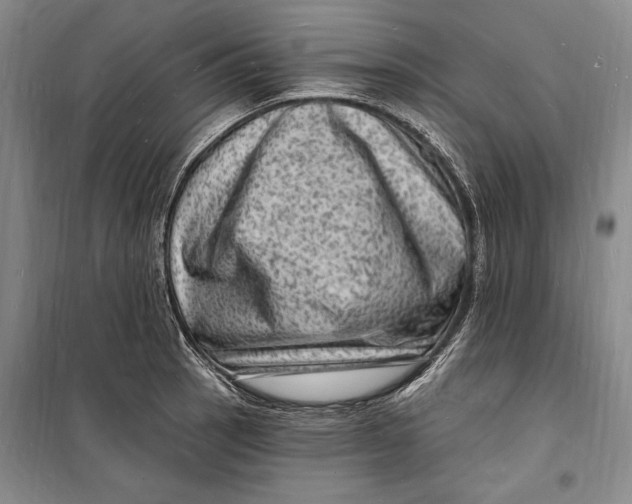 X0000098231137200805151334