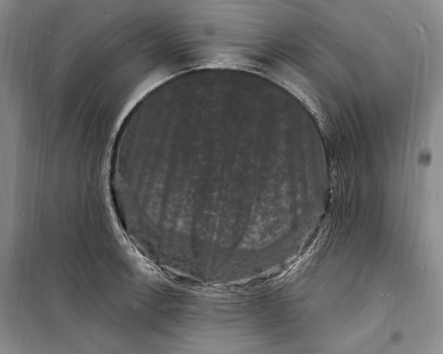 X0000098231138200805151335