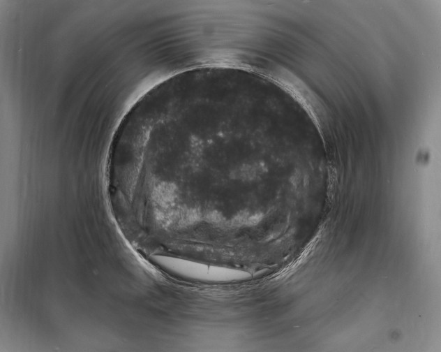 X0000098231141200805151335