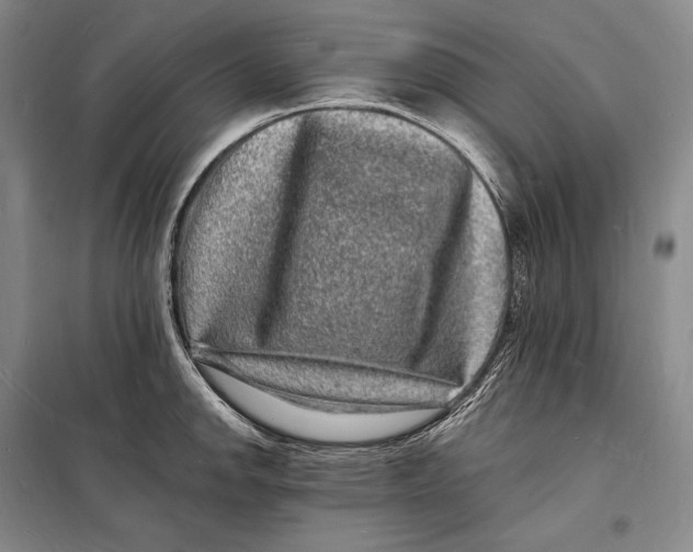 X0000098231142200805151335