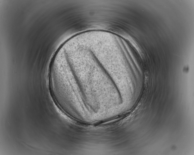 X0000098231143200805151335