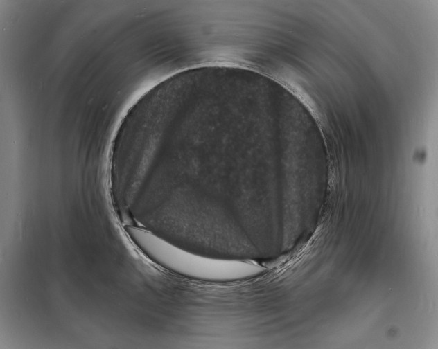 X0000098231144200805151335