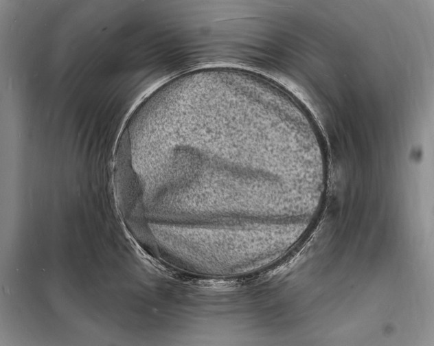 X0000098231145200805151335