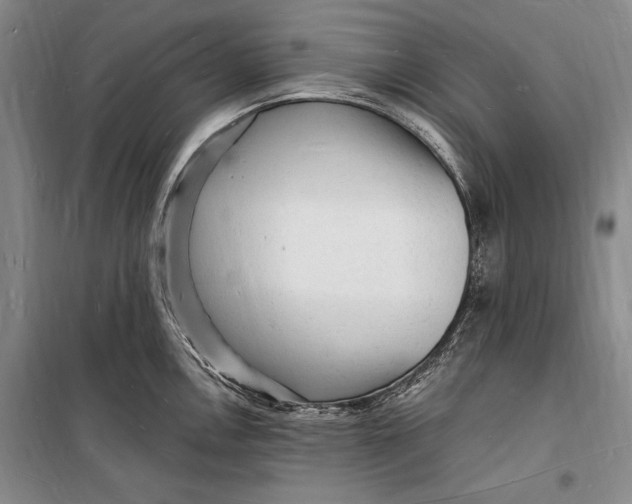 X0000098231146200805151335