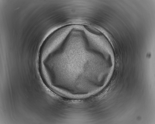 X0000098231147200805151335