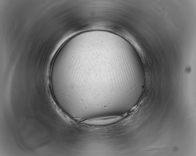 X0000098231148200805151335