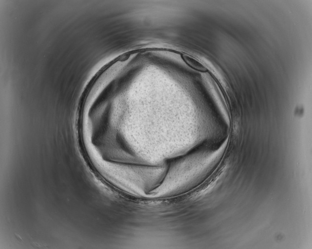 X0000098231149200805151335