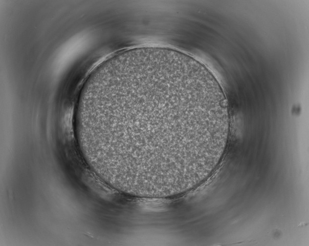 X0000098231150200805151335