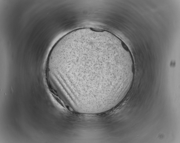 X0000098231152200805151335