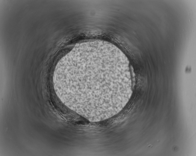 X0000098231153200805151334