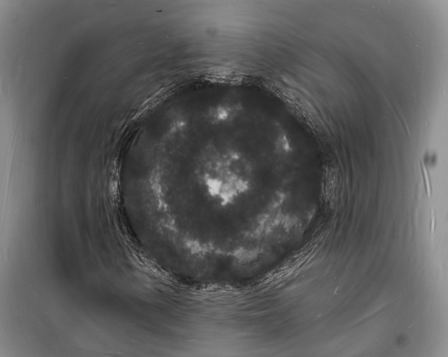 X0000098231154200805151334