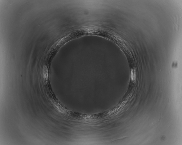 X0000098231155200805151334