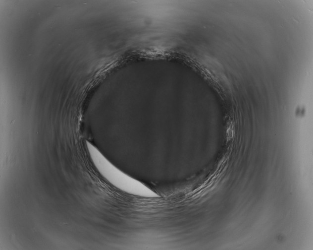 X0000098231156200805151334