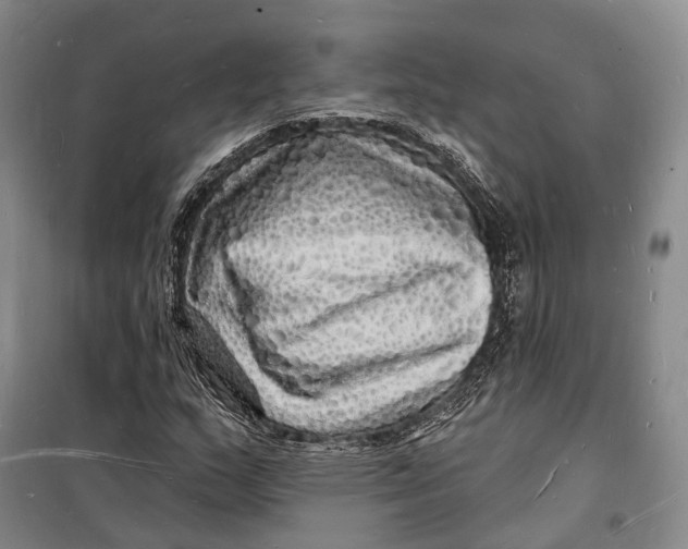 X0000098231159200805151334