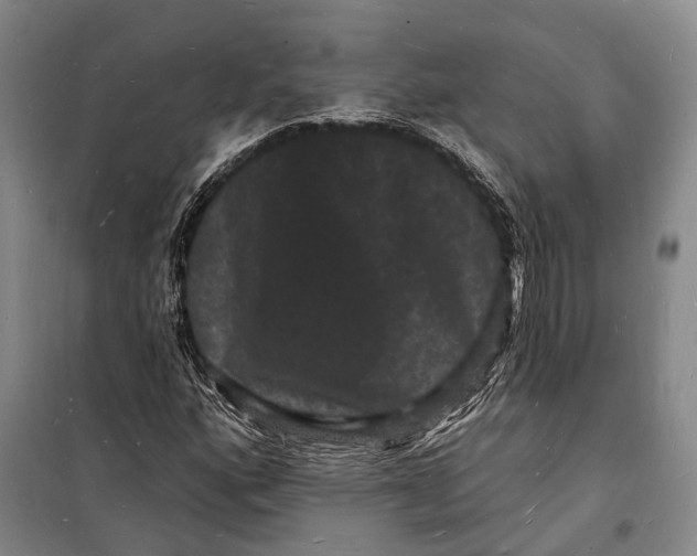 X0000098231160200805151334