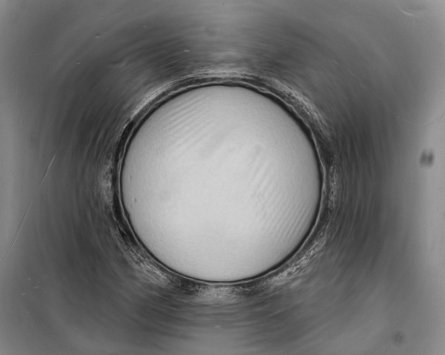 X0000098231162200805151334