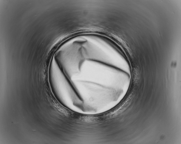 X0000098231163200805151334