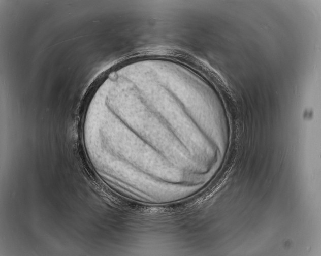 X0000098231166200805151334