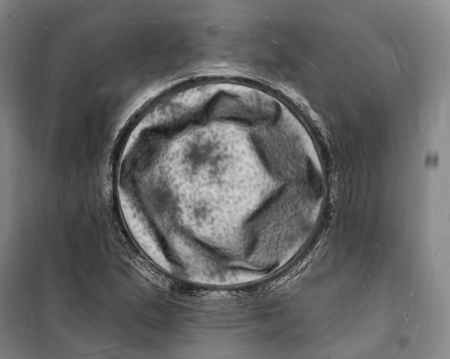 X0000098231167200805151334