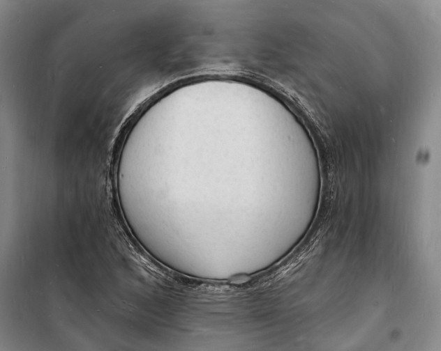 X0000098231168200805151334