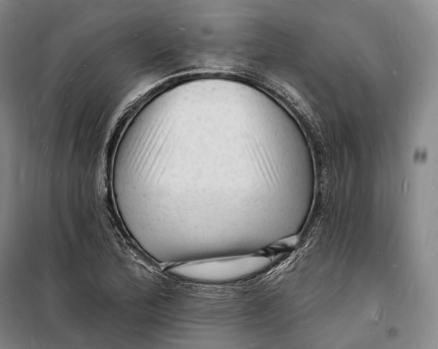 X0000098231172200805151334