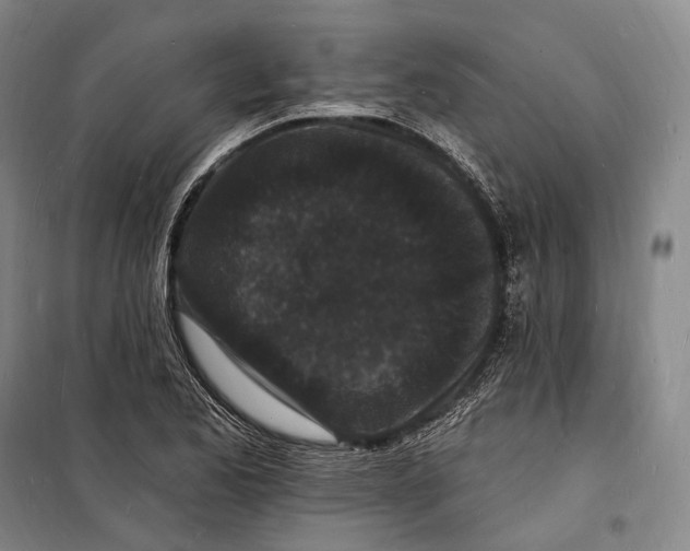 X0000098231173200805151334