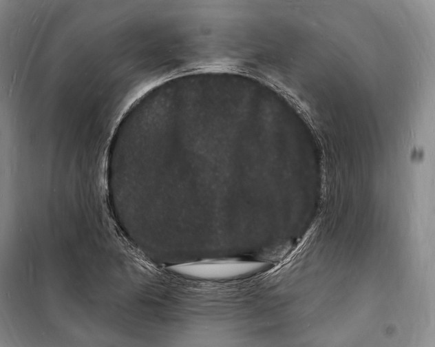 X0000098231174200805151334