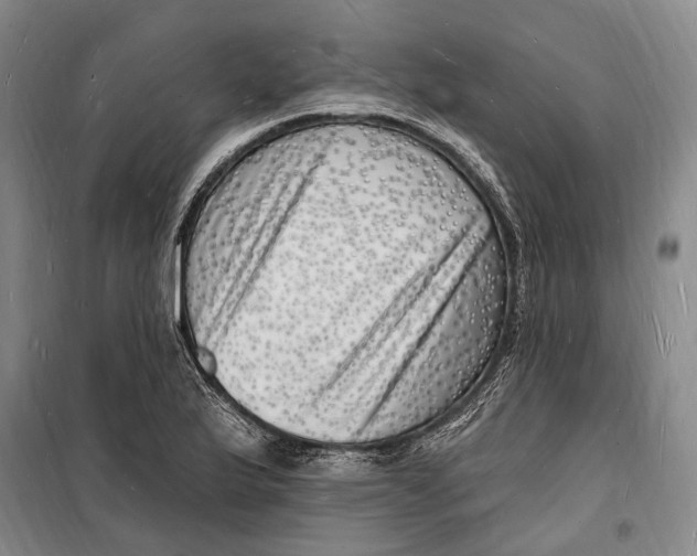 X0000098231175200805151334