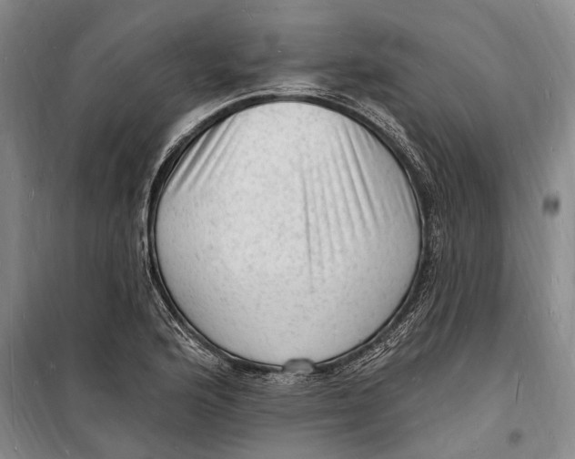 X0000098231176200805151334