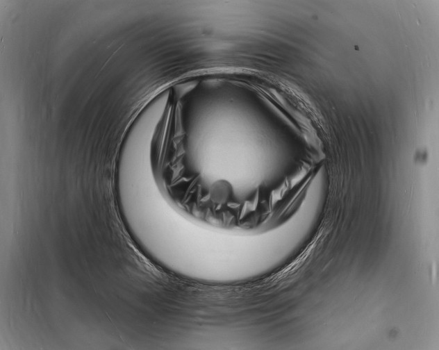 X0000098231177200805151334