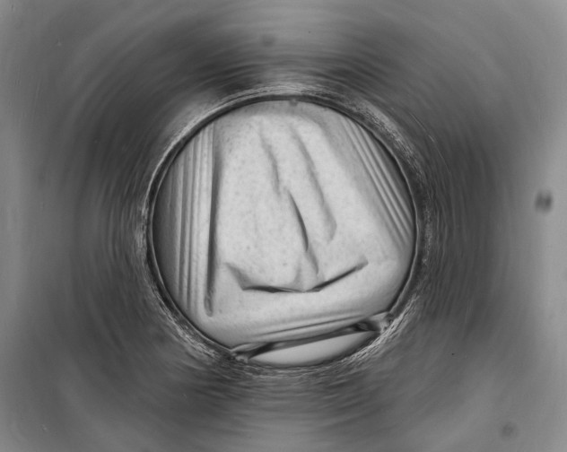 X0000098231178200805151334