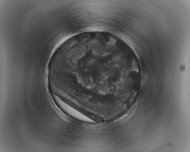 X0000098231179200805151334