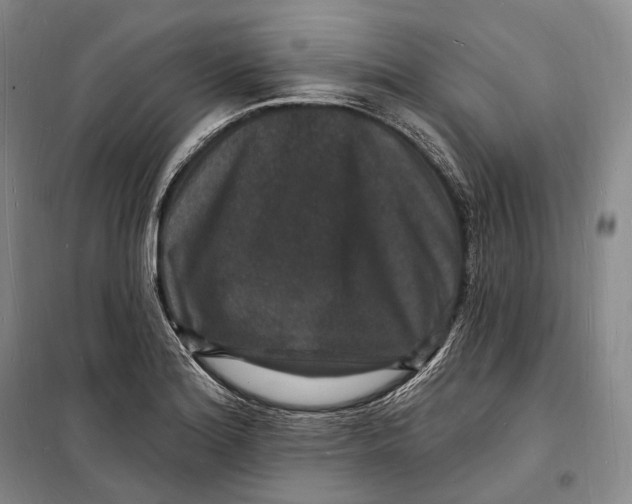 X0000098231180200805151334