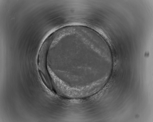 X0000098231181200805151334