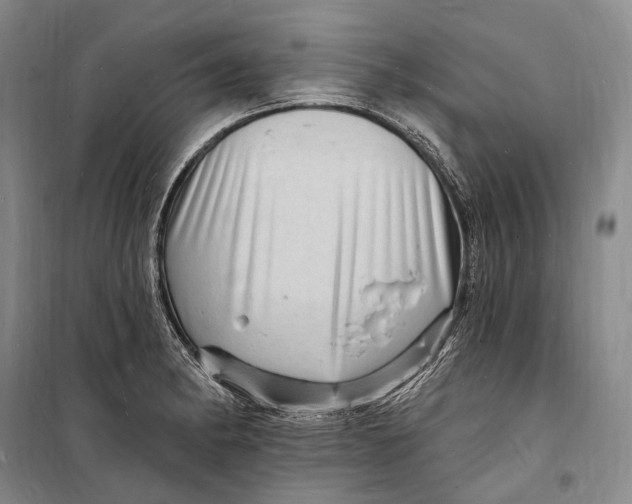 X0000098231182200805151334