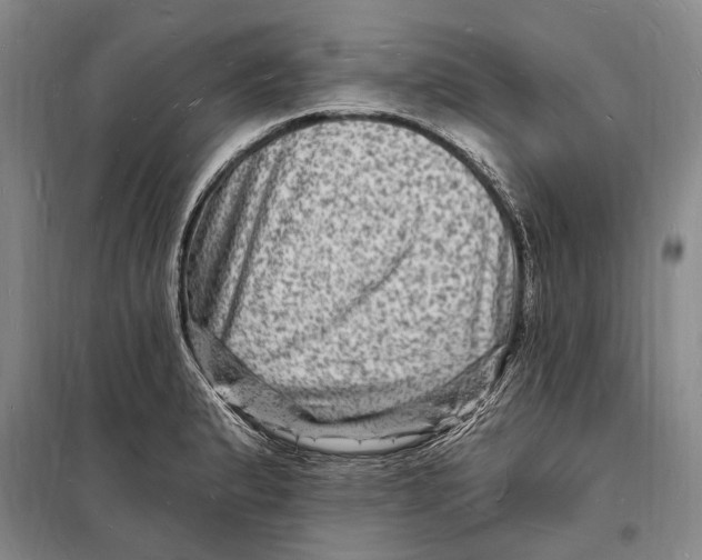 X0000098231183200805151334