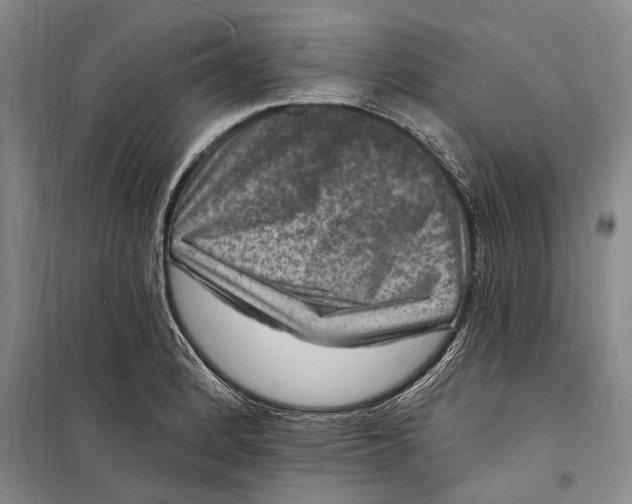 X0000098231184200805151334