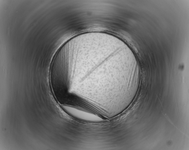 X0000098231186200805151334